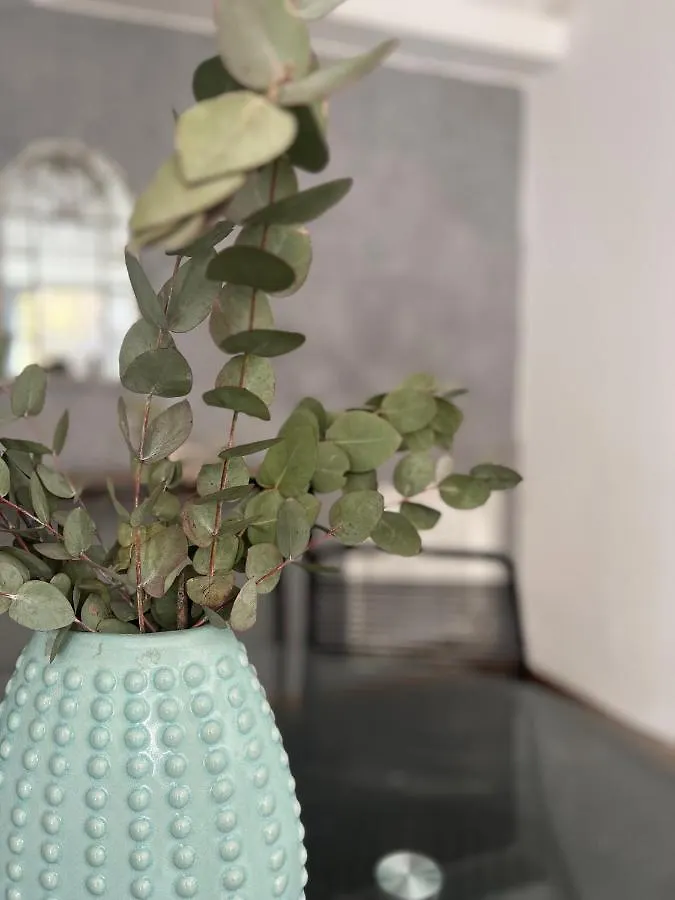 Apartamento Departamento Moderno Calle Espana! Mendoza Argentina
